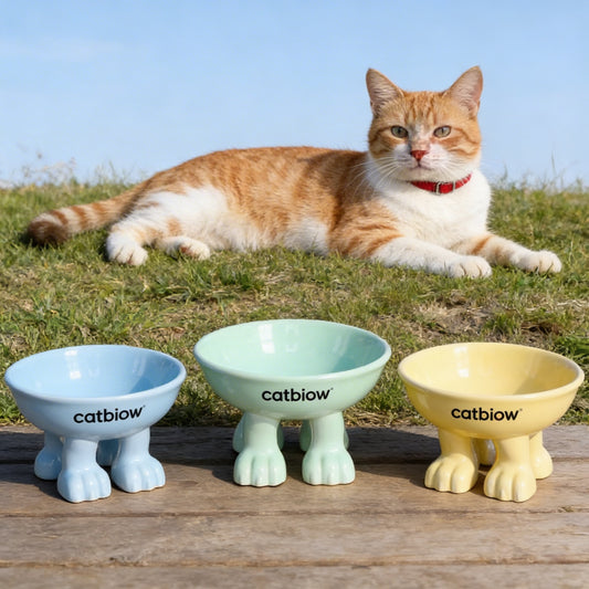 Cat Biow® Rainbow Ceramic Cat Bowl – Colorful Gradient Design with Non-Slip Base for Cats & Small Pets – Perfect for Food & Water