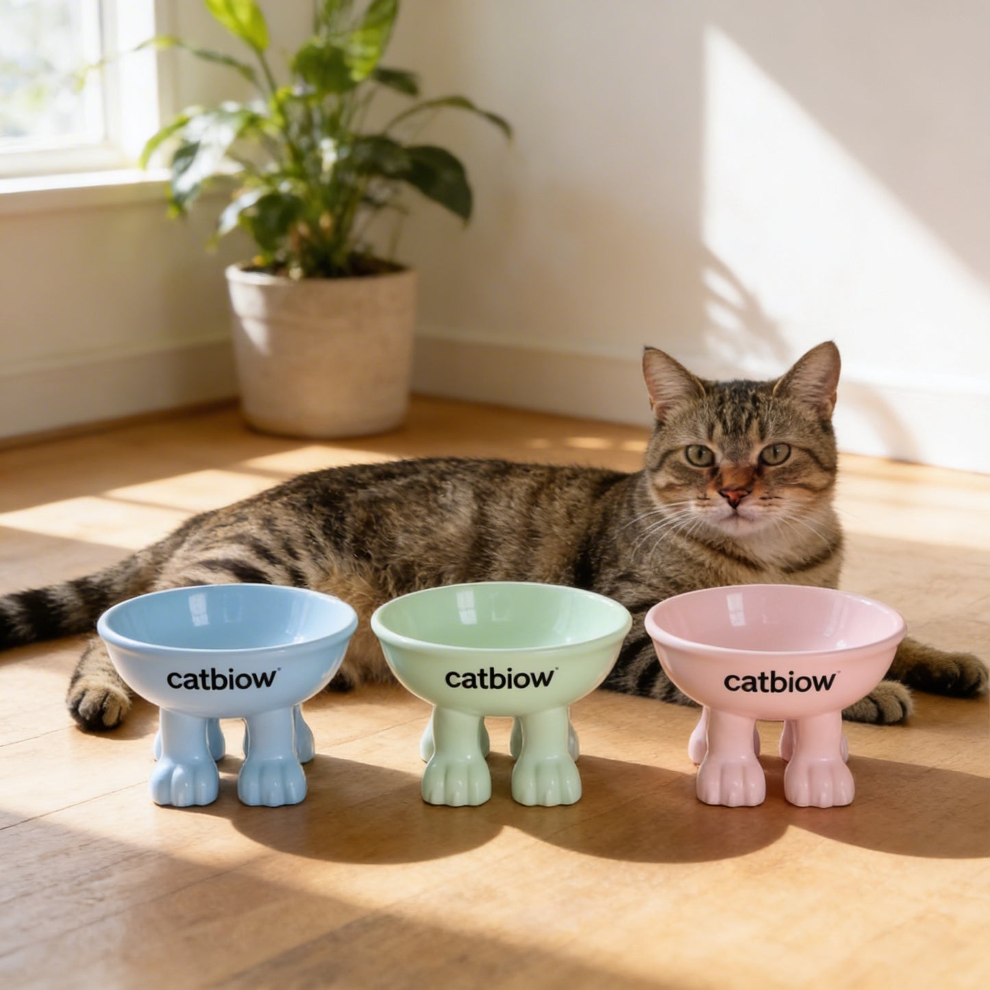 Cat Biow® Rainbow Ceramic Cat Bowl – Colorful Gradient Design with Non-Slip Base for Cats & Small Pets – Perfect for Food & Water