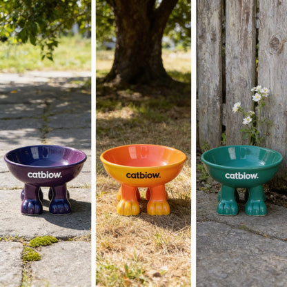 Cat Biow® Rainbow Ceramic Cat Bowl – Colorful Gradient Design with Non-Slip Base for Cats & Small Pets – Perfect for Food & Water