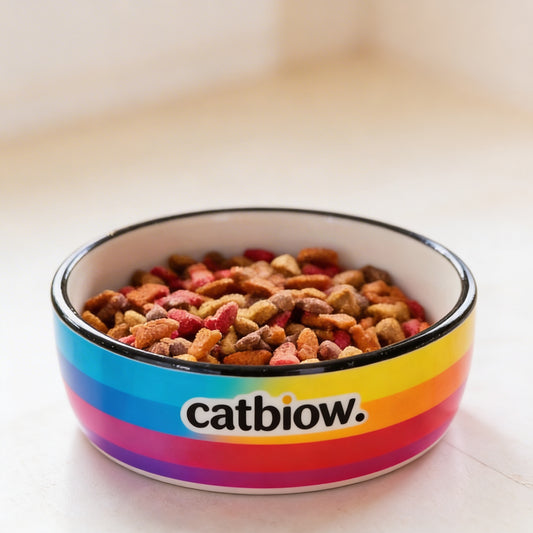 Cat Biow® Rainbow Ceramic Cat Bowl – Colorful, Durable Food & Water Bowl with Wide Design, Non-Slip Base, and Cat Biow® Logo