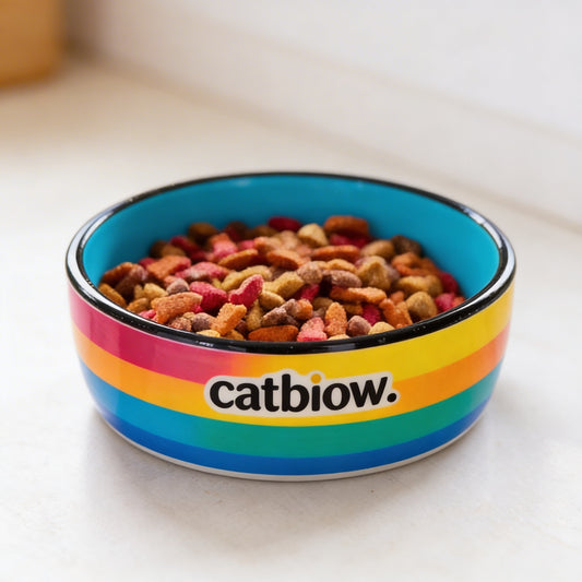 Cat Biow® Rainbow Ceramic Cat Bowl – Colorful, Durable Food & Water Bowl with Wide Design, Non-Slip Base